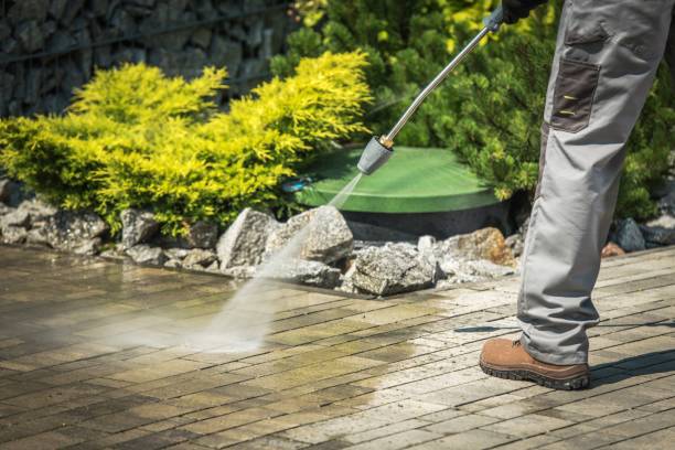 Best Oil Spill Cleanup  in Laingsburg, MI