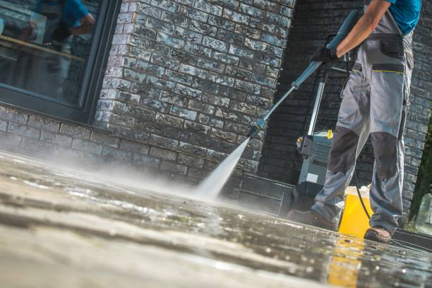 Best Warehouse Cleaning  in Laingsburg, MI