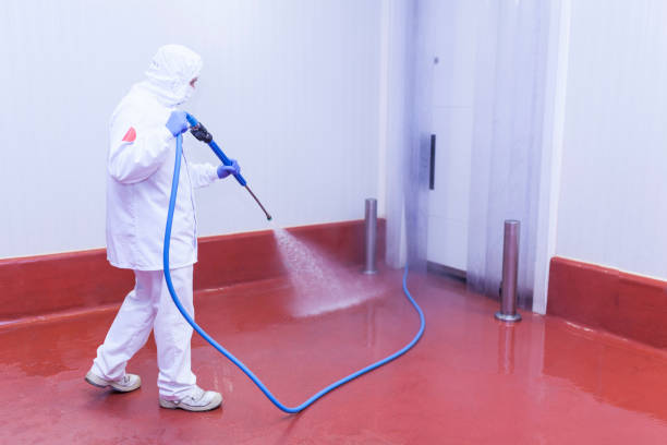 Best Concrete Sealing  in Laingsburg, MI