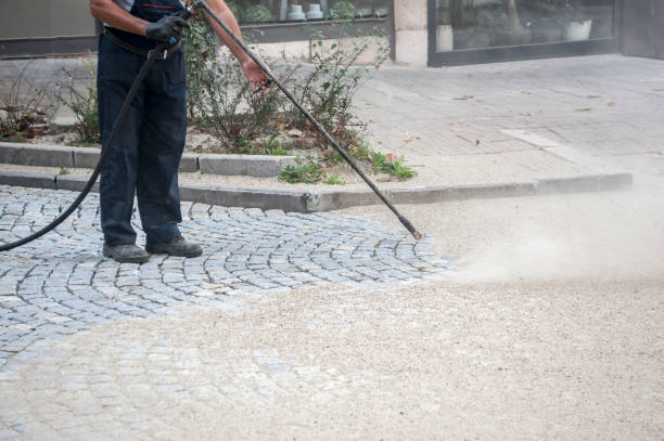 Best Patio and Deck Pressure Washing  in Laingsburg, MI