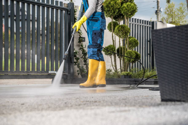 Professional  Pressure Washing Services in Laingsburg, MI