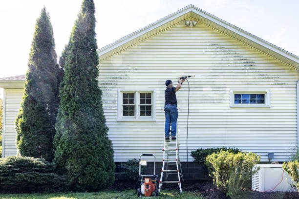 Best Building Exterior Washing  in Laingsburg, MI