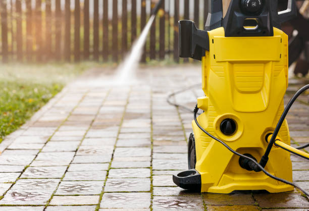 Best Pre-Holiday Cleaning  in Laingsburg, MI